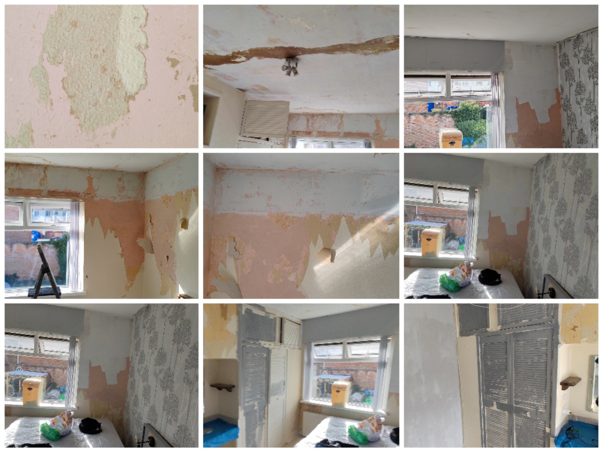 Painter and Decorator: Image 3